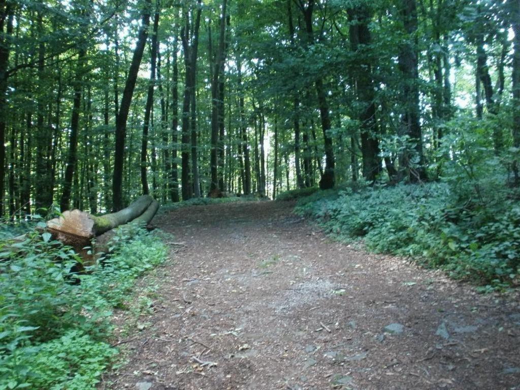 Ferienwohnung Irmgard Und Ferienwohnung Gerlinde Waldbrunn  Exteriér fotografie